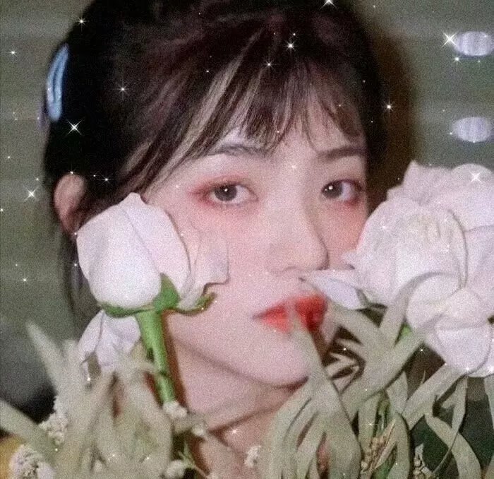 光环:夜幕